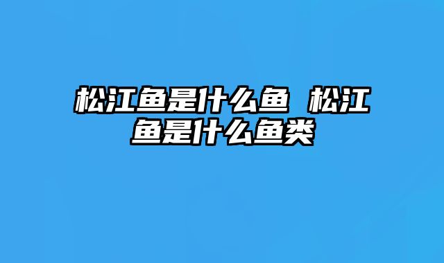 松江鱼是什么鱼 松江鱼是什么鱼类