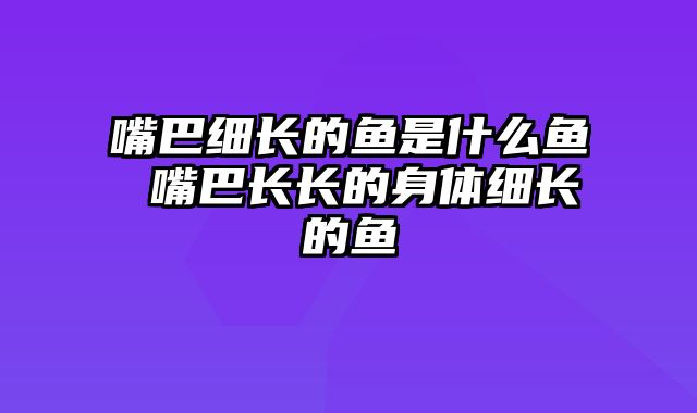 嘴巴细长的鱼是什么鱼 嘴巴长长的身体细长的鱼