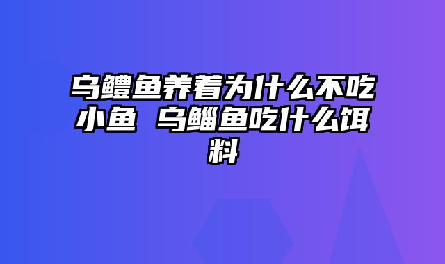 乌鳢鱼养着为什么不吃小鱼 乌鲻鱼吃什么饵料