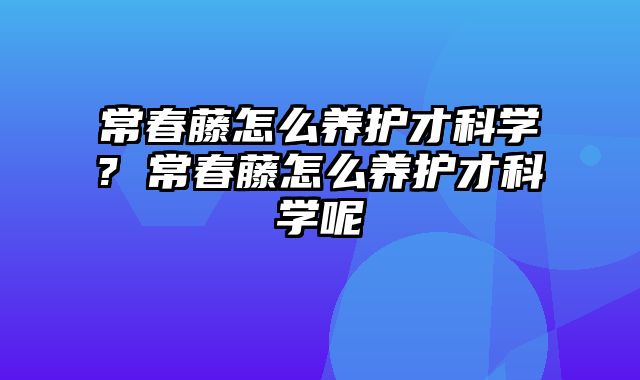 常春藤怎么养护才科学? 常春藤怎么养护才科学呢