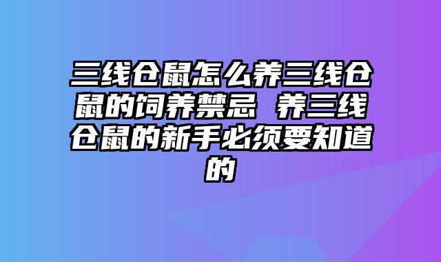 三线仓鼠怎么养三线仓鼠的饲养禁忌 养三线仓鼠的新手必须要知道的