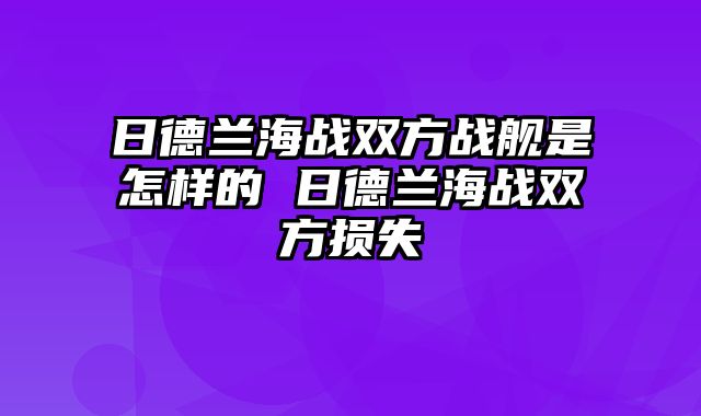 日德兰海战双方战舰是怎样的 日德兰海战双方损失