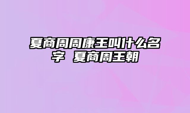 夏商周周康王叫什么名字 夏商周王朝