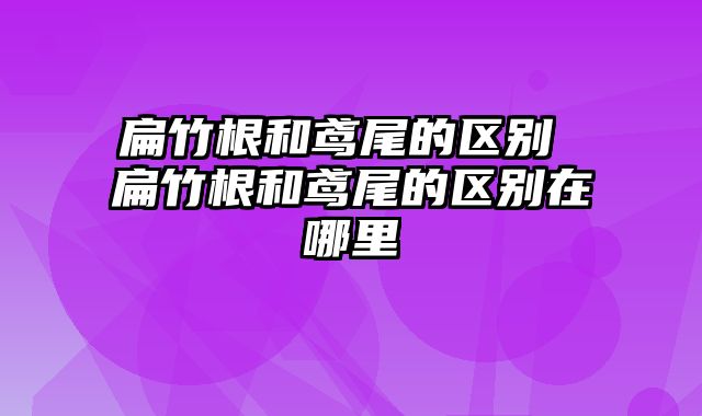 扁竹根和鸢尾的区别 扁竹根和鸢尾的区别在哪里