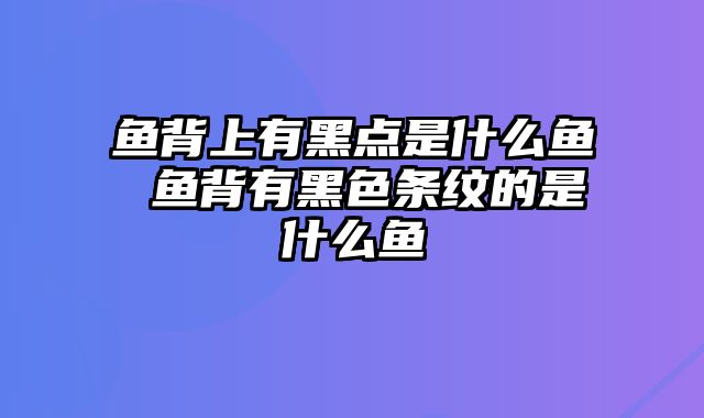 鱼背上有黑点是什么鱼 鱼背有黑色条纹的是什么鱼