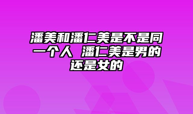 潘美和潘仁美是不是同一个人 潘仁美是男的还是女的