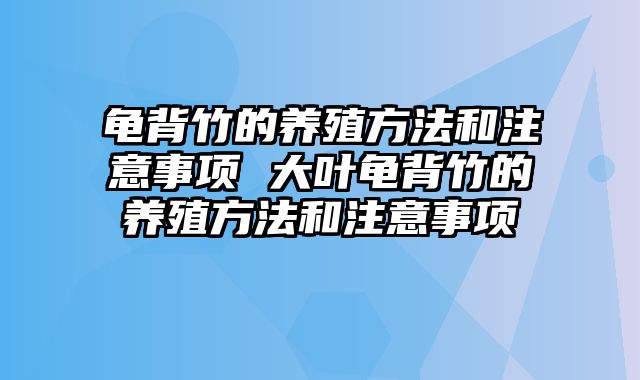 龟背竹的养殖方法和注意事项 大叶龟背竹的养殖方法和注意事项