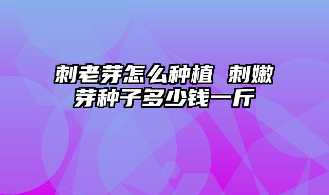 刺老芽怎么种植 刺嫩芽种子多少钱一斤