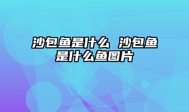 沙包鱼是什么 沙包鱼是什么鱼图片