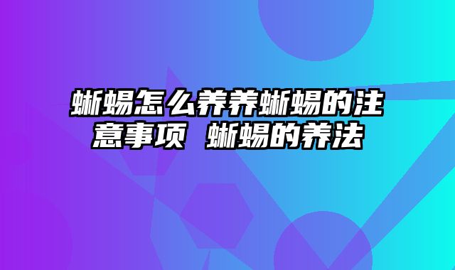 蜥蜴怎么养养蜥蜴的注意事项 蜥蜴的养法