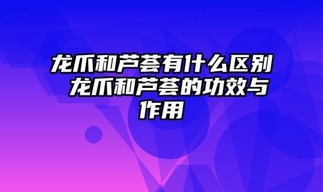 龙爪和芦荟有什么区别 龙爪和芦荟的功效与作用