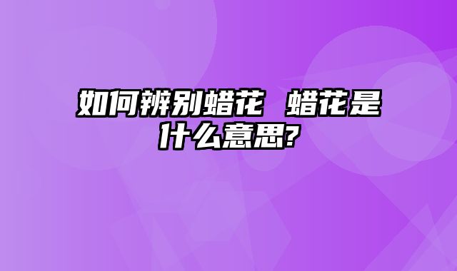 如何辨别蜡花 蜡花是什么意思?