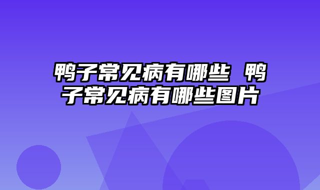 鸭子常见病有哪些 鸭子常见病有哪些图片