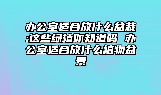 办公室适合放什么盆栽:这些绿植你知道吗 办公室适合放什么植物盆景