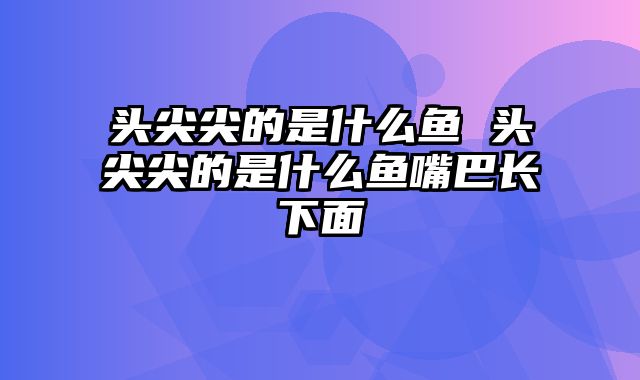 头尖尖的是什么鱼 头尖尖的是什么鱼嘴巴长下面