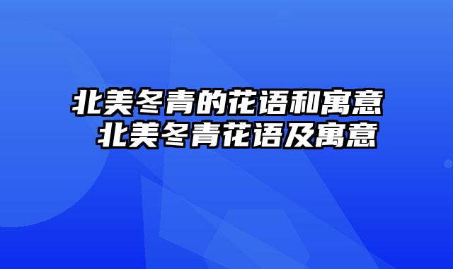 北美冬青的花语和寓意 北美冬青花语及寓意