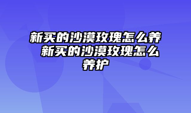 新买的沙漠玫瑰怎么养 新买的沙漠玫瑰怎么养护