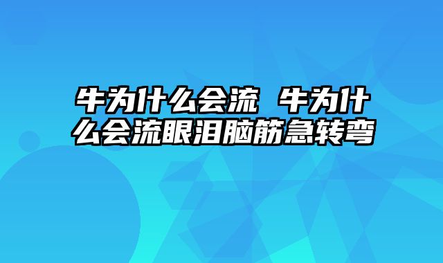 牛为什么会流 牛为什么会流眼泪脑筋急转弯