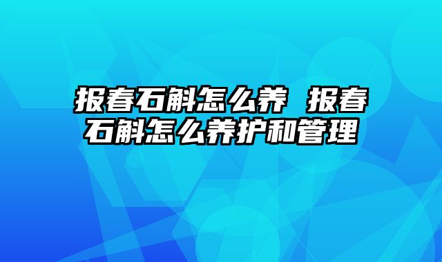 报春石斛怎么养 报春石斛怎么养护和管理