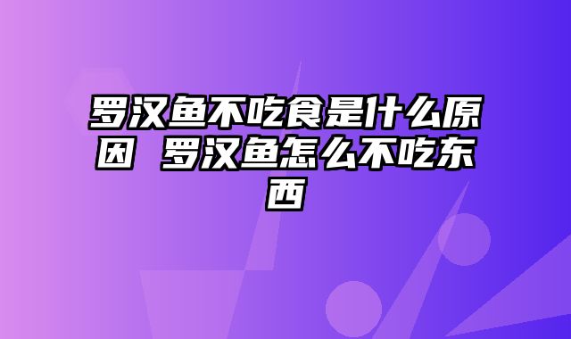 罗汉鱼不吃食是什么原因 罗汉鱼怎么不吃东西