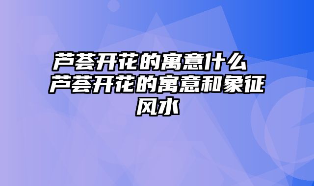 芦荟开花的寓意什么 芦荟开花的寓意和象征风水