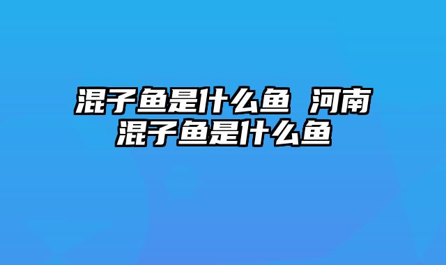 混子鱼是什么鱼 河南混子鱼是什么鱼