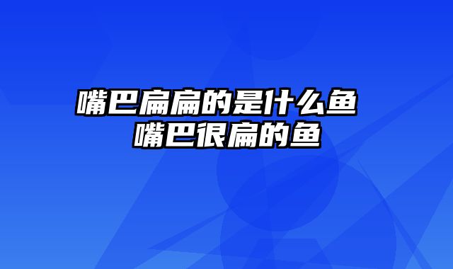 嘴巴扁扁的是什么鱼 嘴巴很扁的鱼