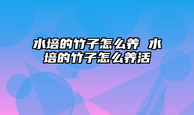 水培的竹子怎么养 水培的竹子怎么养活