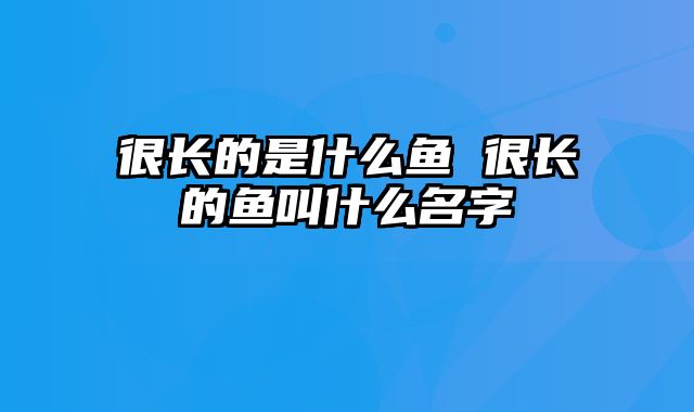 很长的是什么鱼 很长的鱼叫什么名字