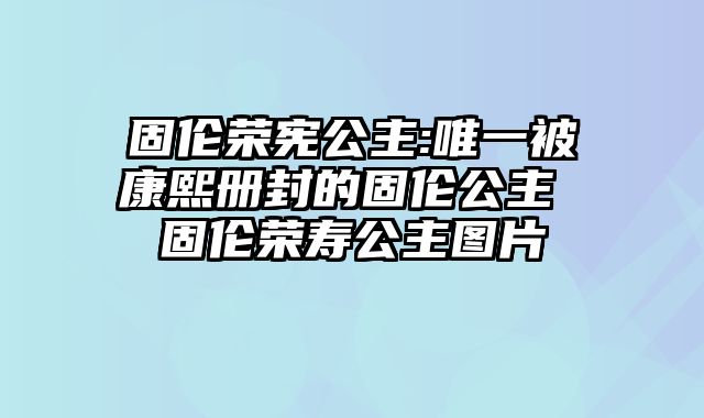 固伦荣宪公主:唯一被康熙册封的固伦公主 固伦荣寿公主图片