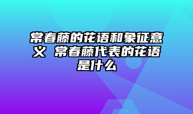 常春藤的花语和象征意义 常春藤代表的花语是什么