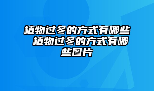 植物过冬的方式有哪些 植物过冬的方式有哪些图片