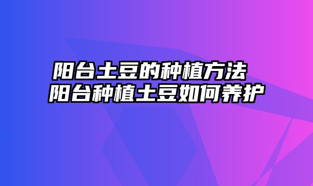 阳台土豆的种植方法 阳台种植土豆如何养护