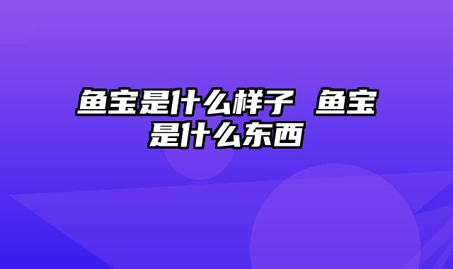 鱼宝是什么样子 鱼宝是什么东西