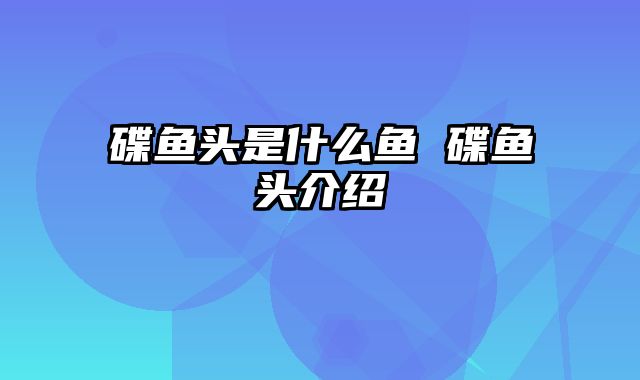 碟鱼头是什么鱼 碟鱼头介绍