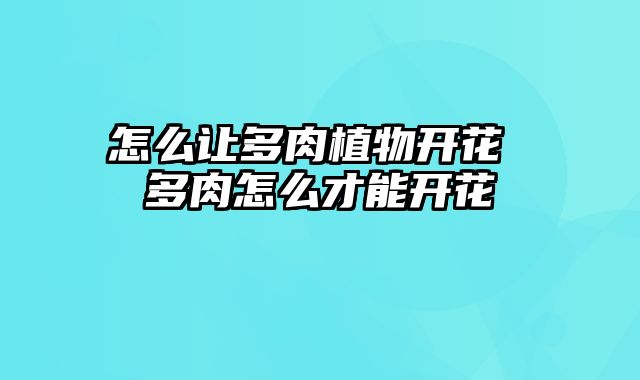 怎么让多肉植物开花 多肉怎么才能开花