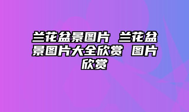 兰花盆景图片 兰花盆景图片大全欣赏 图片欣赏