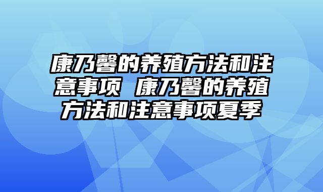 康乃馨的养殖方法和注意事项 康乃馨的养殖方法和注意事项夏季