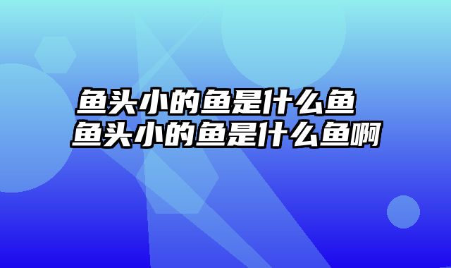 鱼头小的鱼是什么鱼 鱼头小的鱼是什么鱼啊