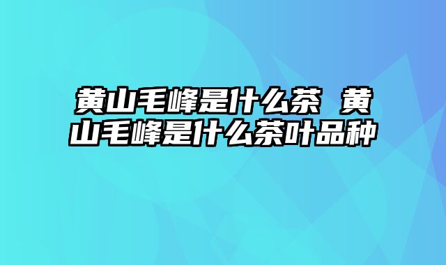 黄山毛峰是什么茶 黄山毛峰是什么茶叶品种