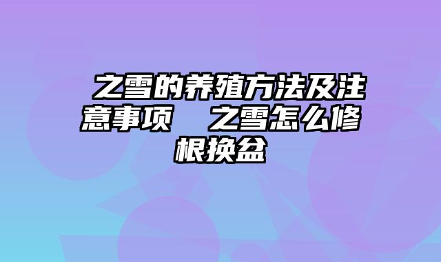 笹之雪的养殖方法及注意事项 笹之雪怎么修根换盆