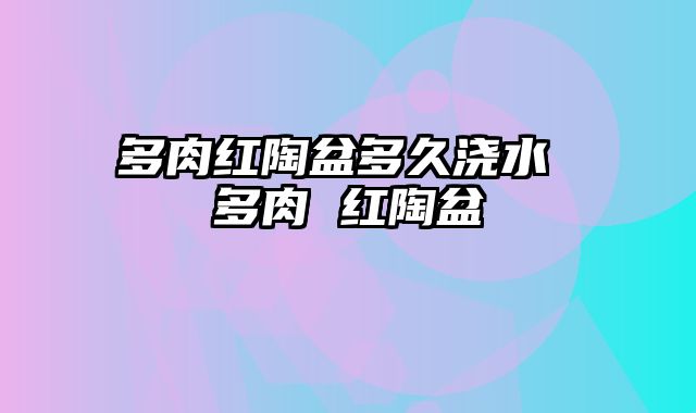 多肉红陶盆多久浇水 多肉 红陶盆