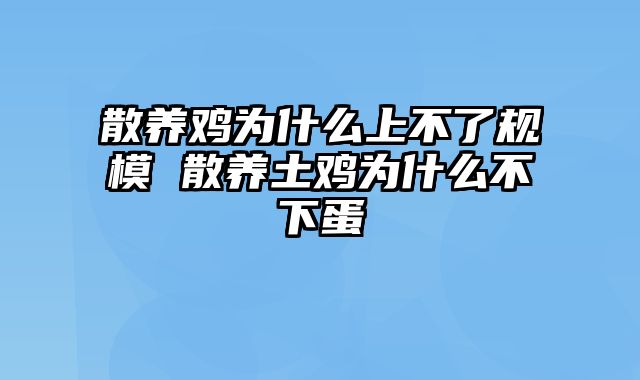 散养鸡为什么上不了规模 散养土鸡为什么不下蛋