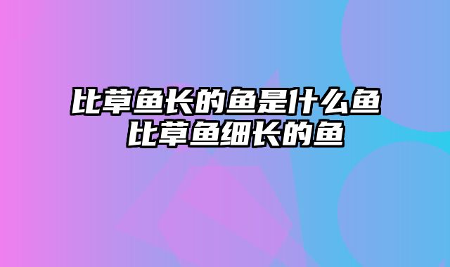 比草鱼长的鱼是什么鱼 比草鱼细长的鱼