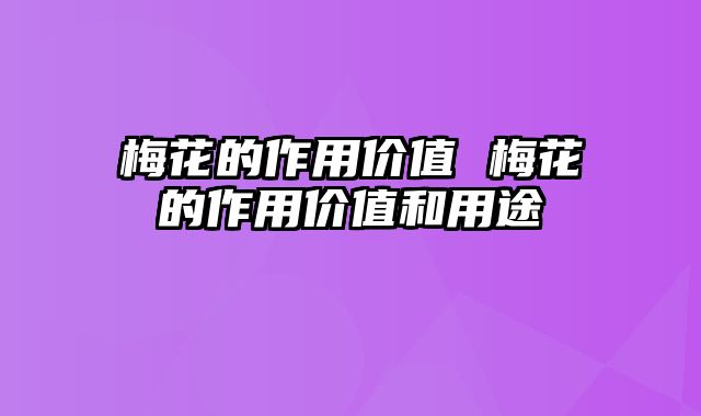 梅花的作用价值 梅花的作用价值和用途