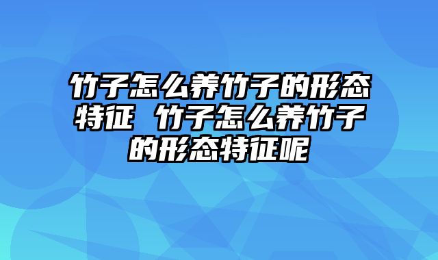 竹子怎么养竹子的形态特征 竹子怎么养竹子的形态特征呢