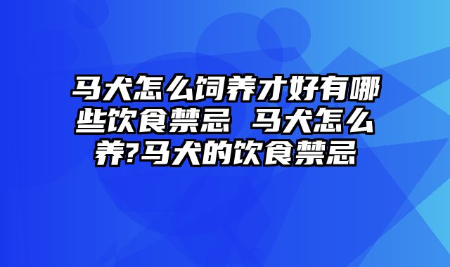 马犬怎么饲养才好有哪些饮食禁忌 马犬怎么养?马犬的饮食禁忌