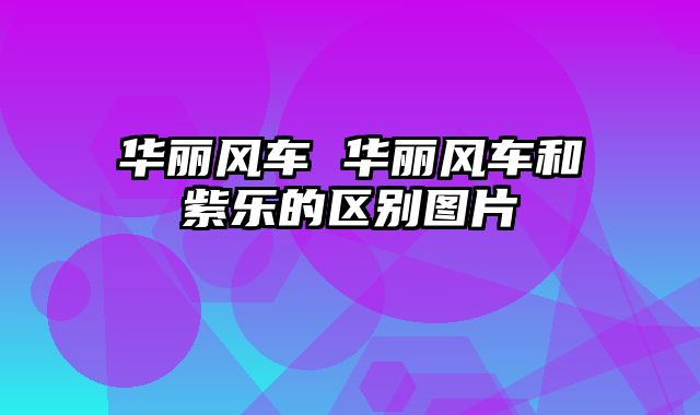 华丽风车 华丽风车和紫乐的区别图片