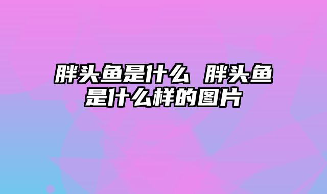 胖头鱼是什么 胖头鱼是什么样的图片