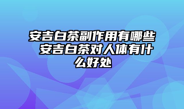 安吉白茶副作用有哪些 安吉白茶对人体有什么好处